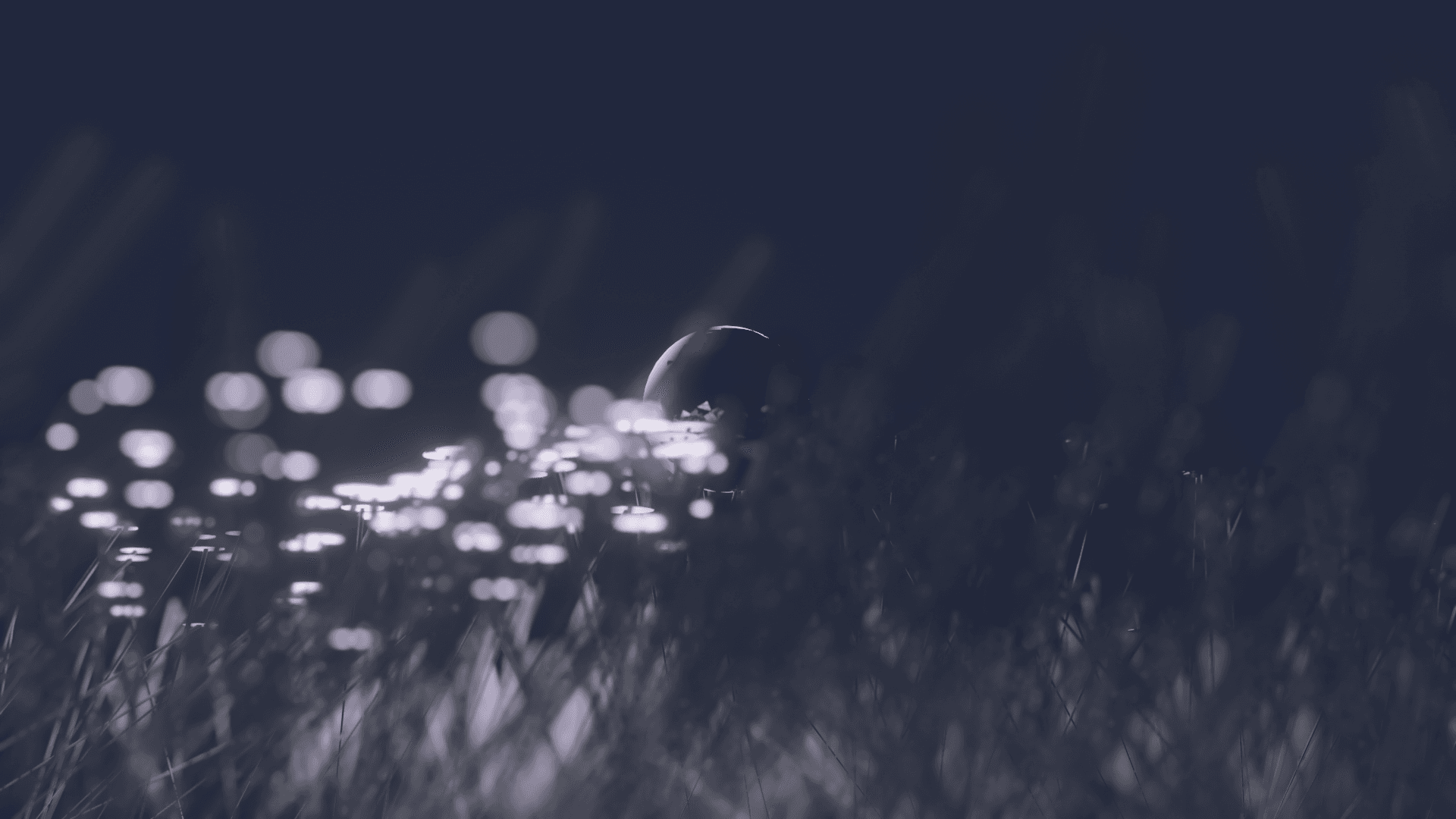 grass4
